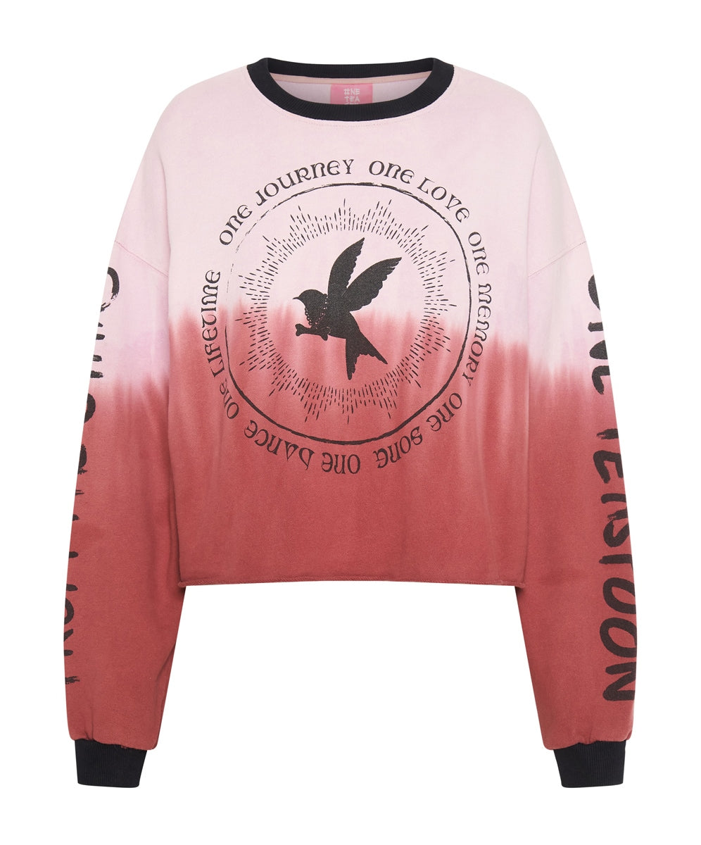 Last Stock FROM THE STARS DIPPED CROPPED SWEATER