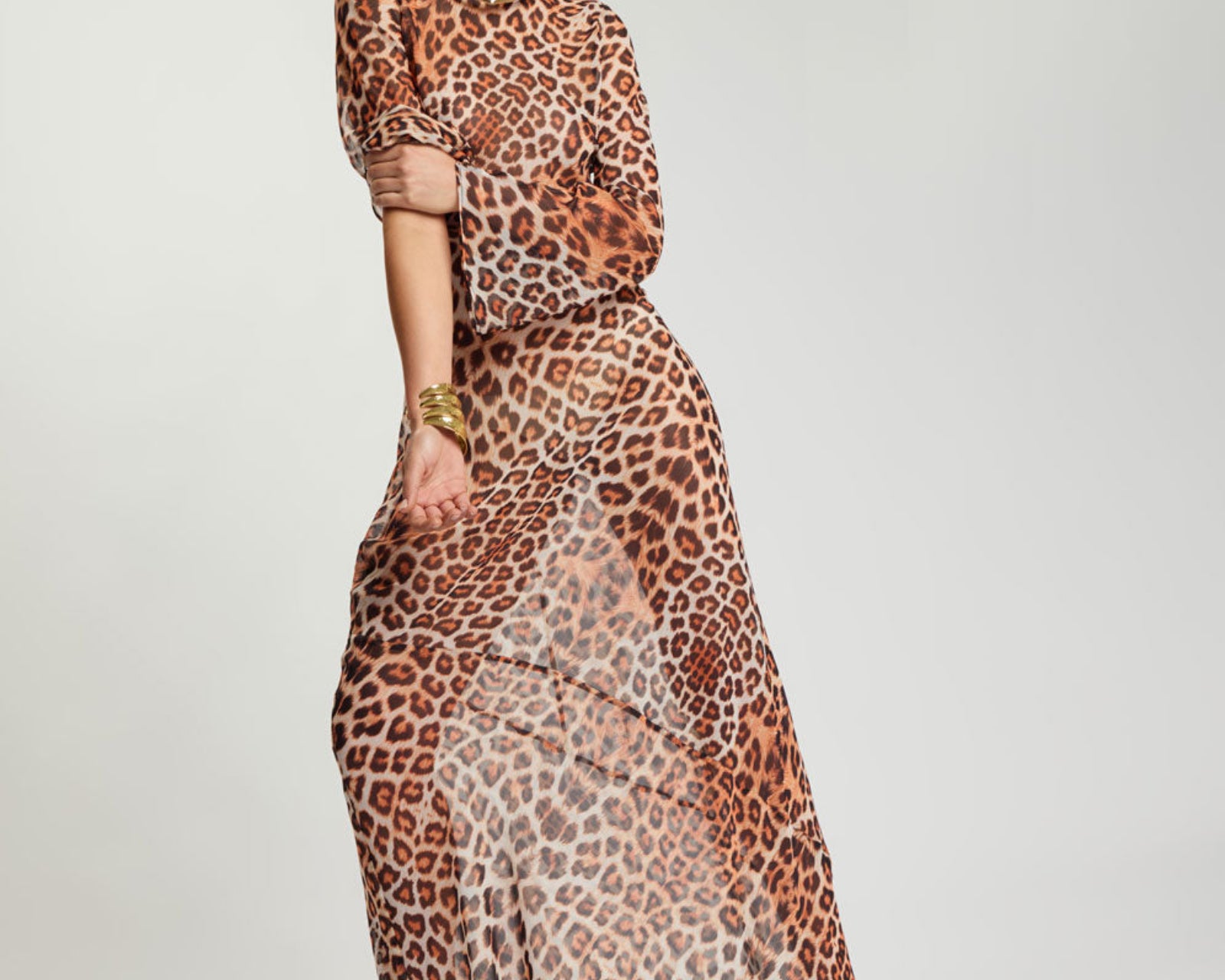 Ziggy Longsleeve Sheer Slip Maxi Dress - Leopard Print
