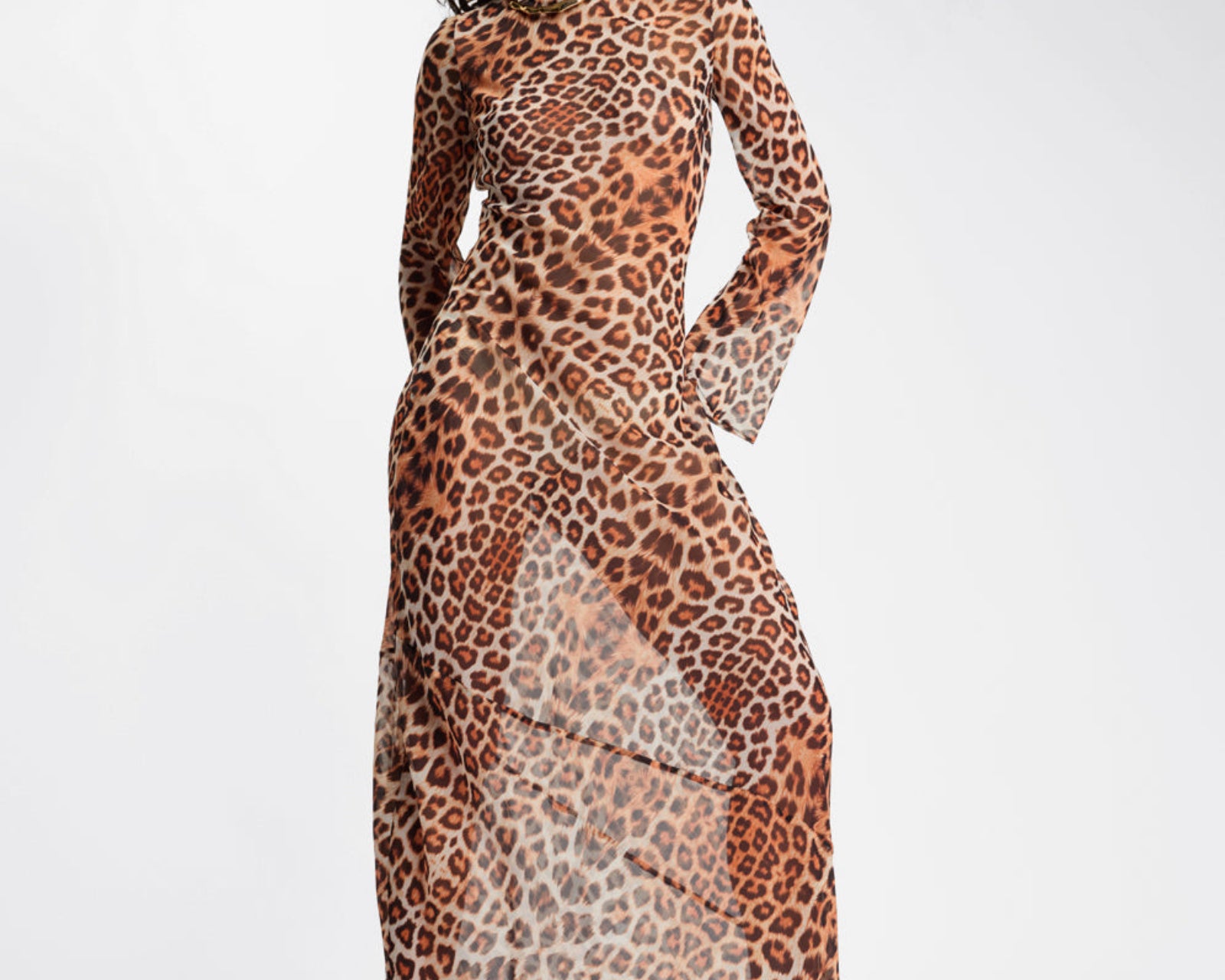 Ziggy Longsleeve Sheer Slip Maxi Dress - Leopard Print