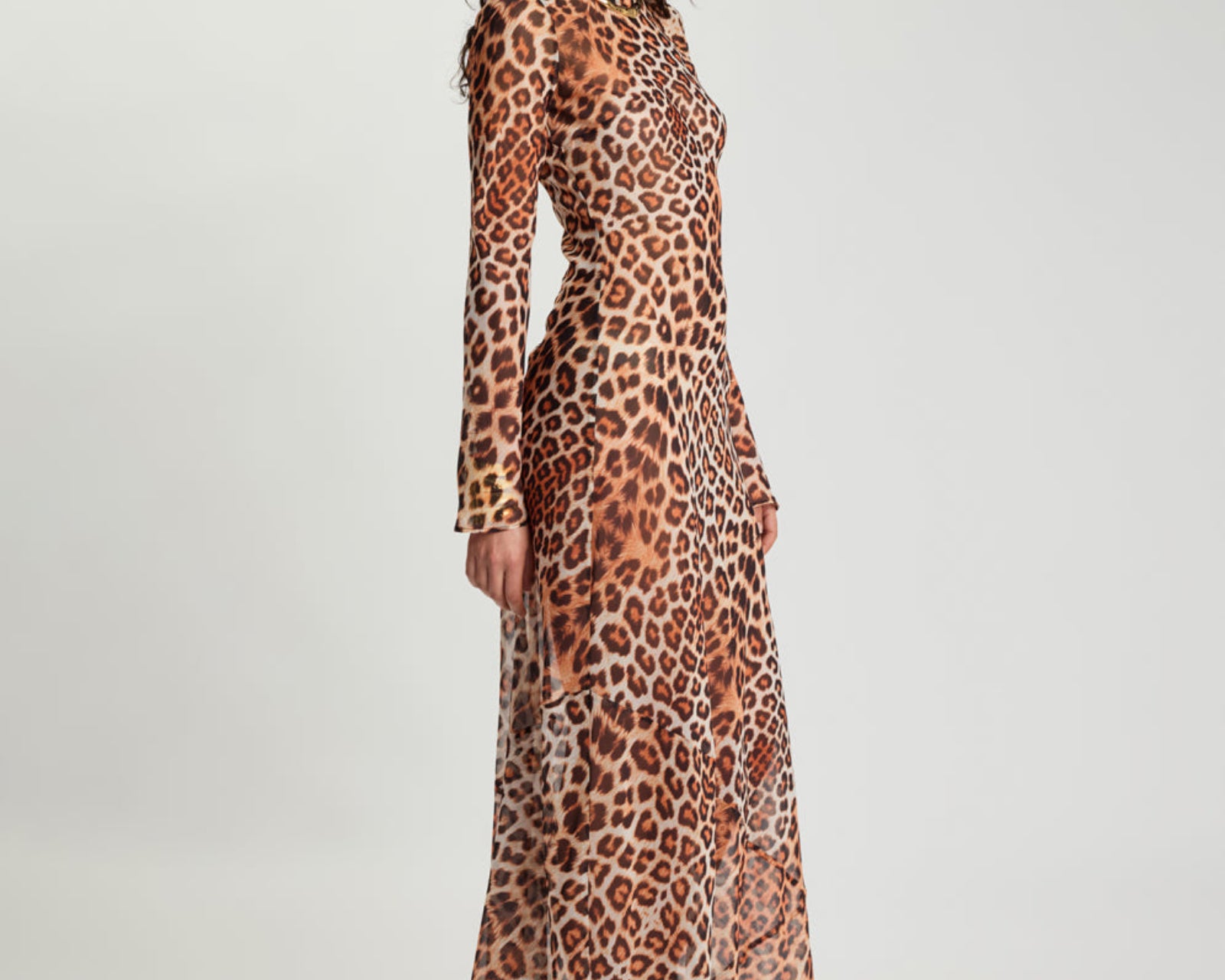 Ziggy Longsleeve Sheer Slip Maxi Dress - Leopard Print