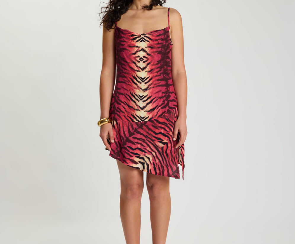 Wild Rouge Mini Asymmetrical Slip Dress - Red Animal Print